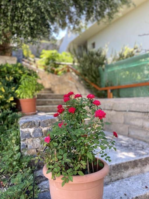 Villa Kamari-Cretan Style Apartment Κριτσά Εξωτερικό φωτογραφία